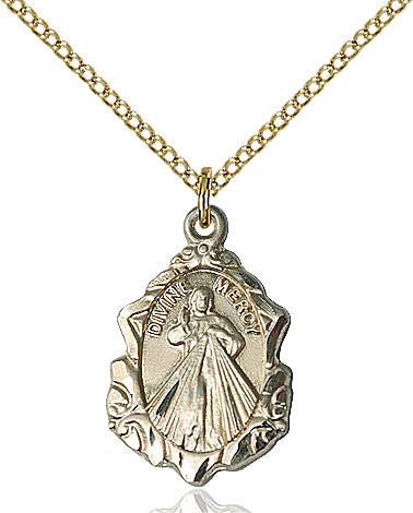 Divine Mercy Necklace Gold Filled 18"