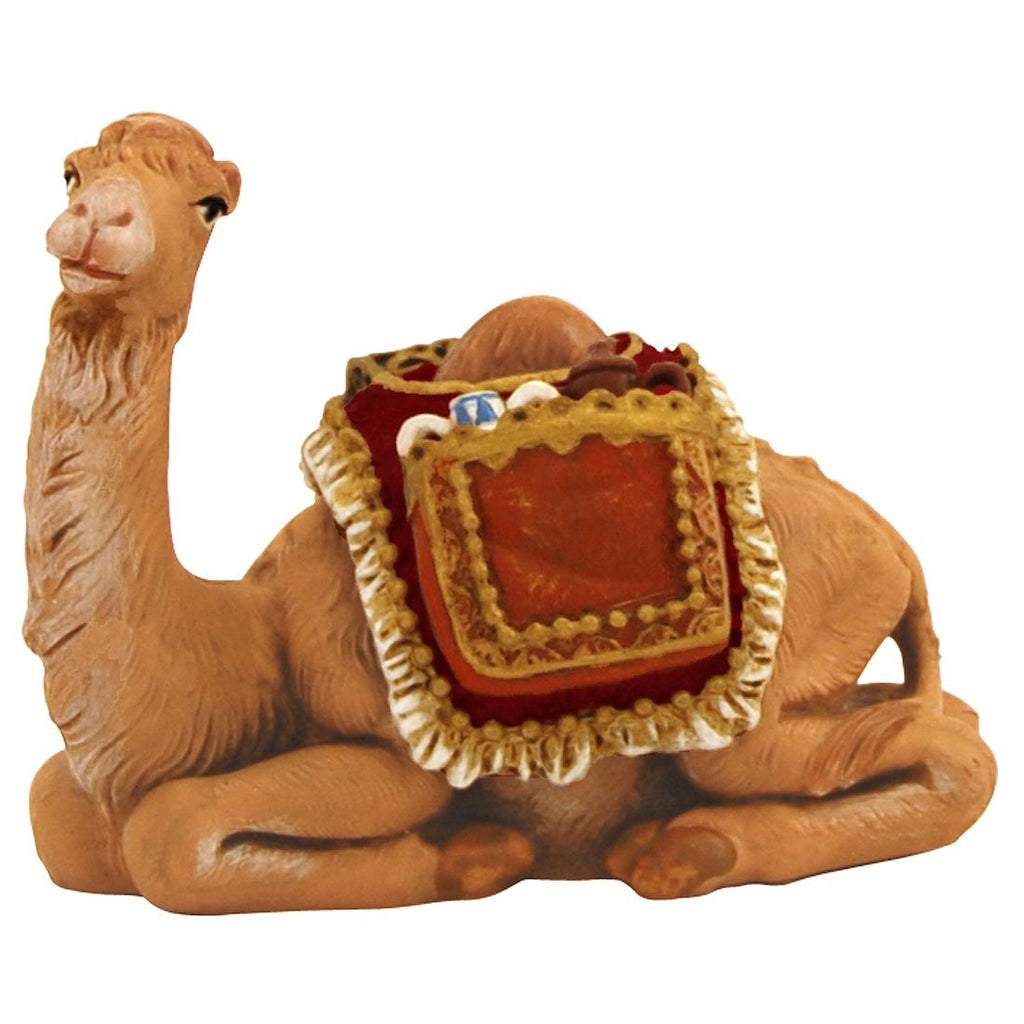 Baby Camel 2pc Set 5"