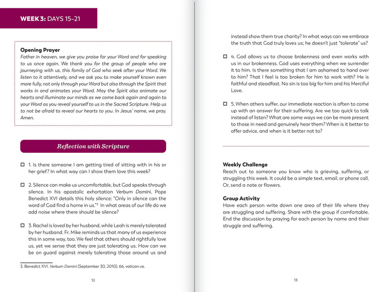 The Bible in a Year Study Guide by Fr. Mike Schmitz | Ascension Press