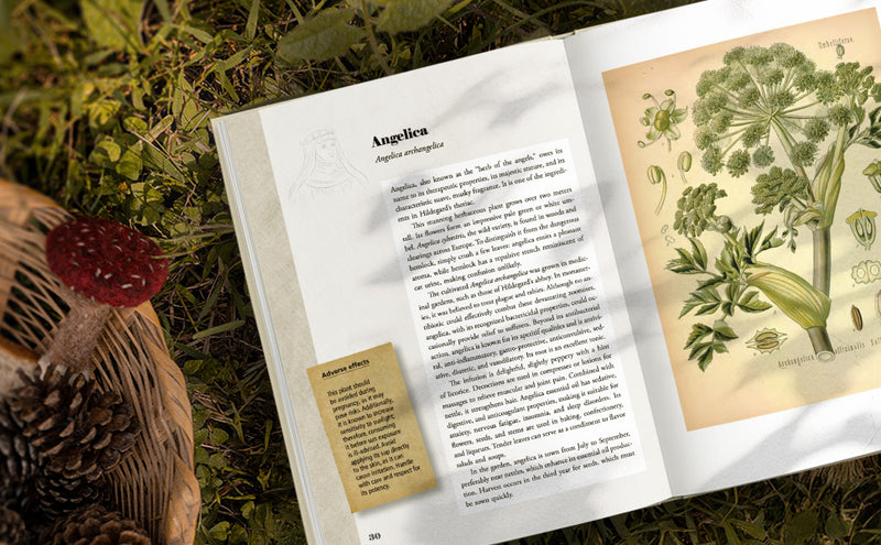 St. Hildegard's Garden: Recipes & Remedies for Healing Body and Soul