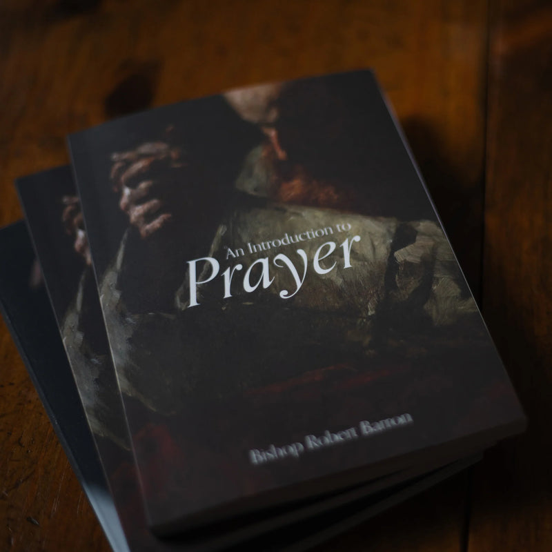 An Introduction to Prayer by Bishop Robert Barron | Word on Fire