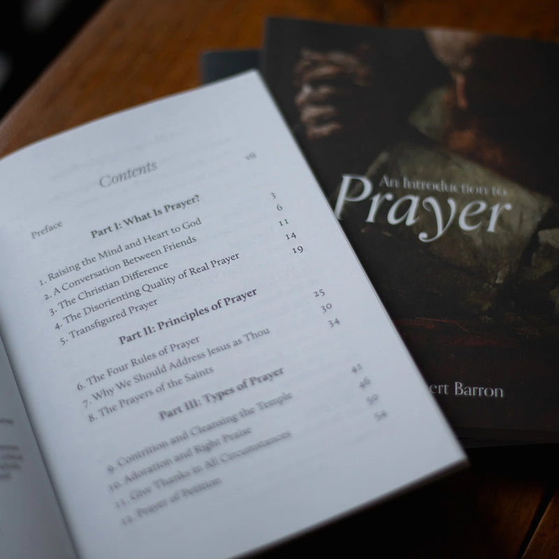 An Introduction to Prayer by Bishop Robert Barron | Word on Fire