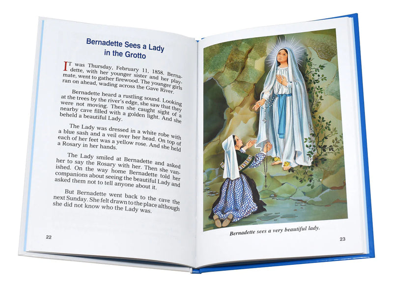 Mary Appears to Us | Catholic Book Publishing