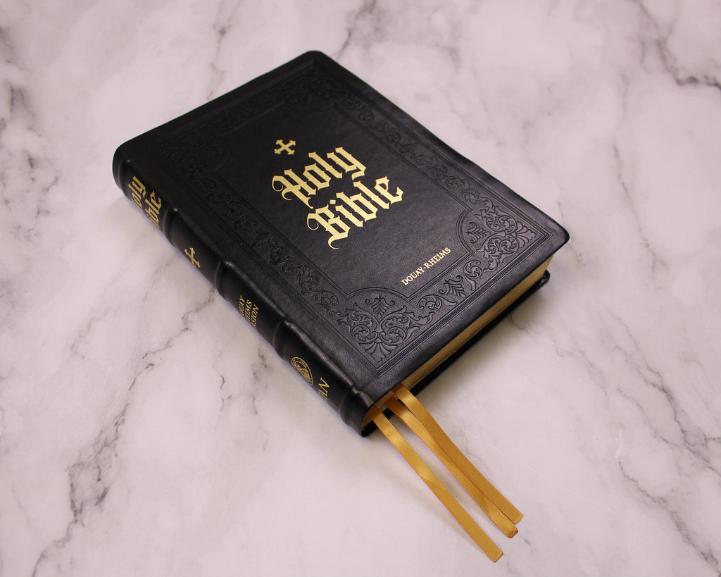 Douay-Rheims Bible Large Print Edition