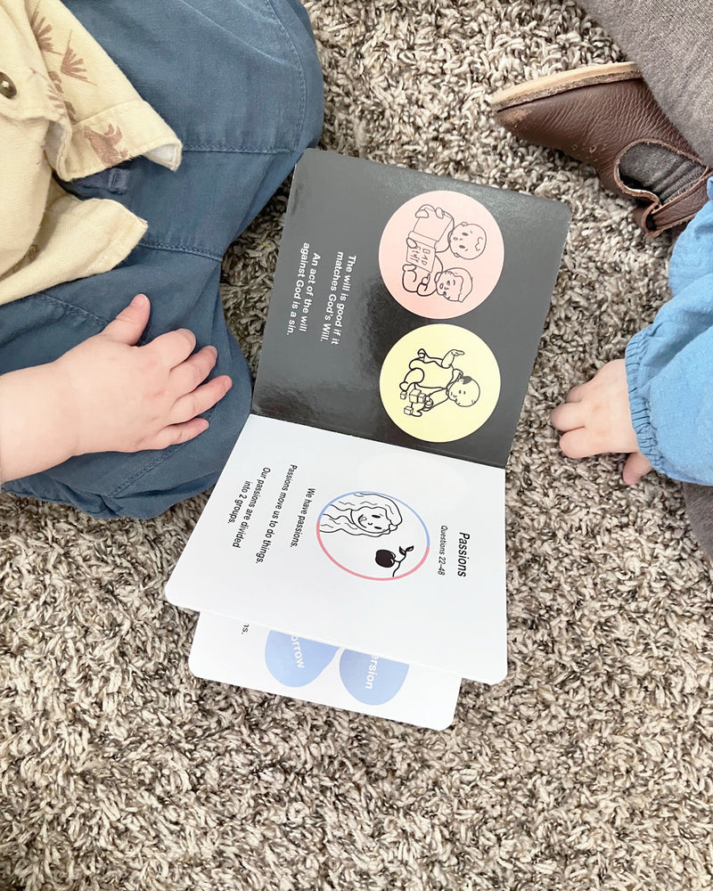 Summa Theologiae for Babies: Prima Secundae Partis | TAN Books