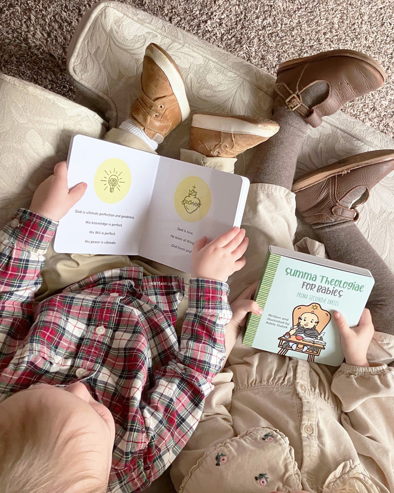 Summa Theologiae for Babies: Prima Secundae Partis | TAN Books