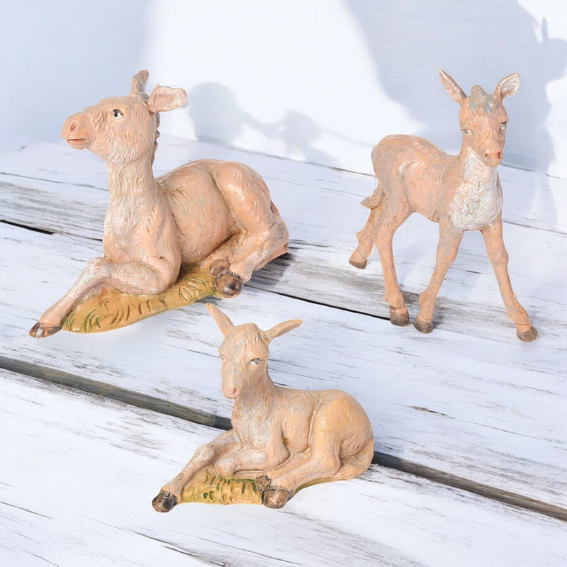 Donkeys 3pc Set 5" Scale