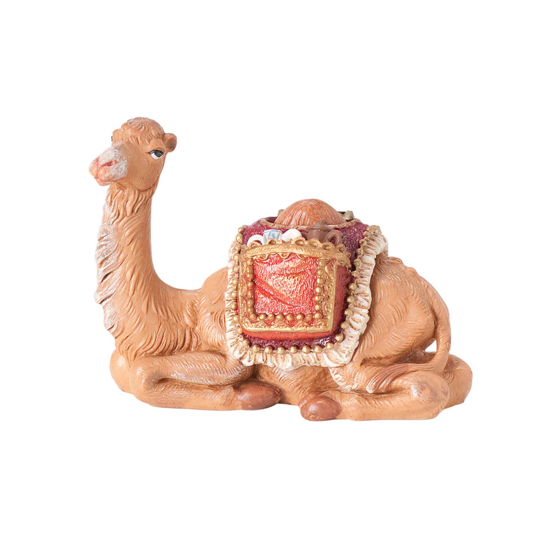 Baby Camel 2pc Set 5"