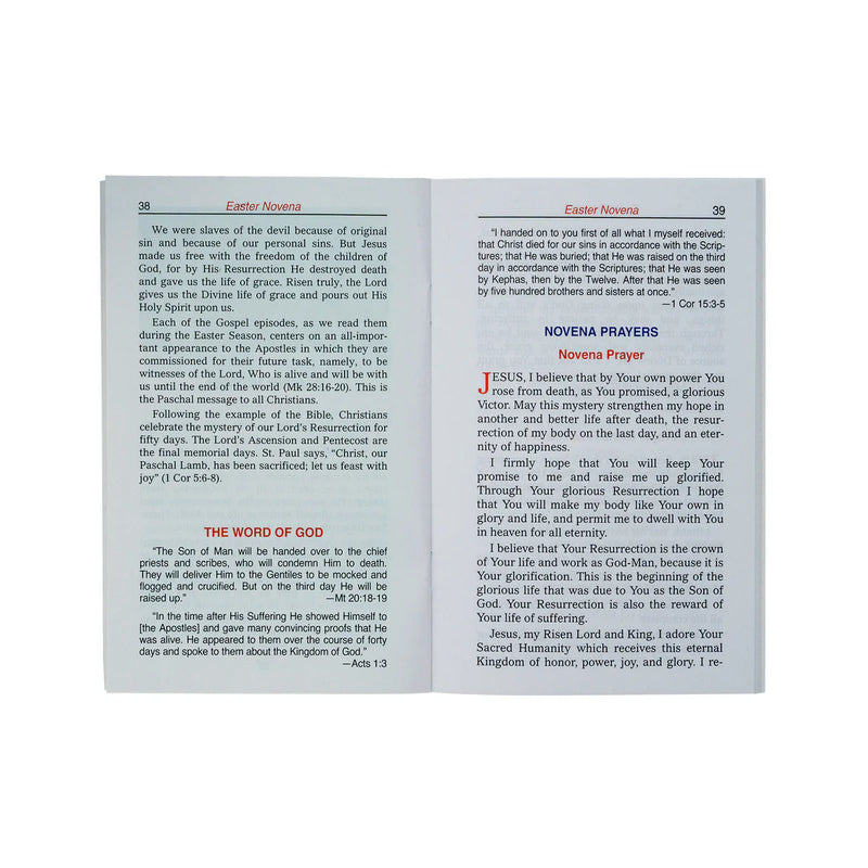Favorite Novenas to Jesus: Illustrated Prayer Booklet by Rev. Lawrence Lovasik