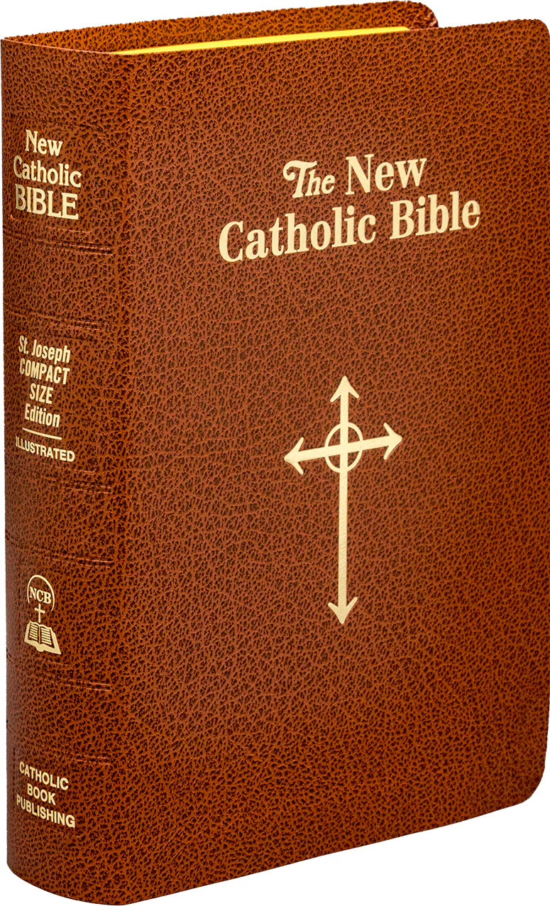 Light brown Bible on a white background