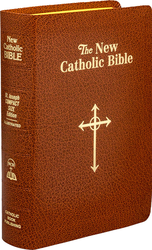Light brown Bible on a white background