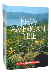 Paperback New American Bible on a white background