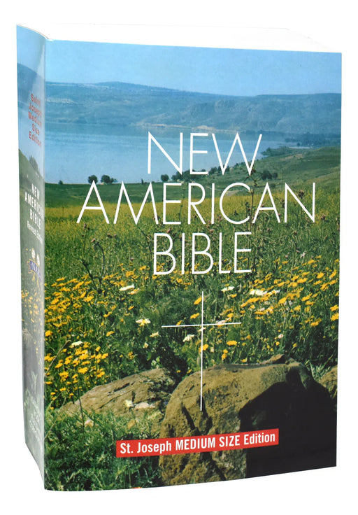 Paperback New American Bible on a white background