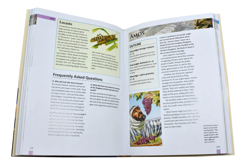 St. Joseph Bible Handbook: An Introduction to All 73 Books of the Catholic Bible