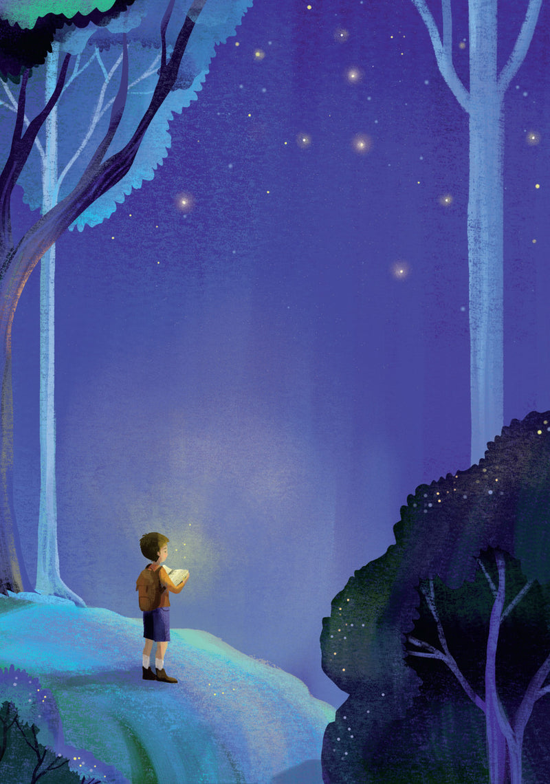 The Little Way: A Journey to the Summit of Love – Catholic Kids' Book
