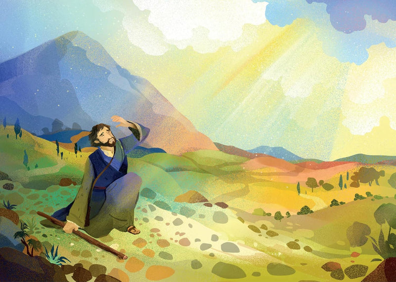 The Tree Planted in the Sea – Book About St. Paul | Ignatius Press