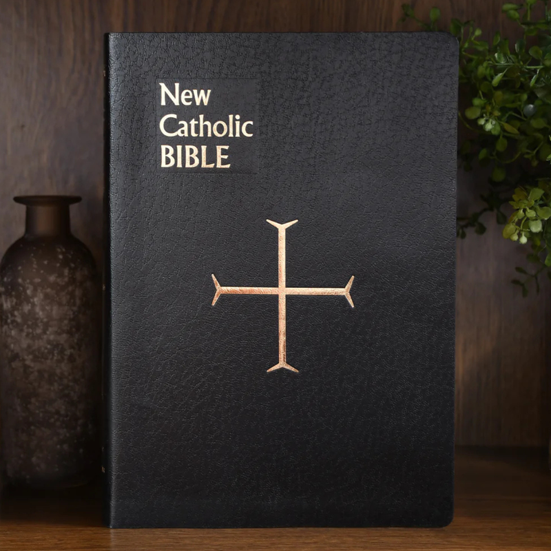 Large Print St. Joseph New Catholic Bible - Gift Edition | NCB