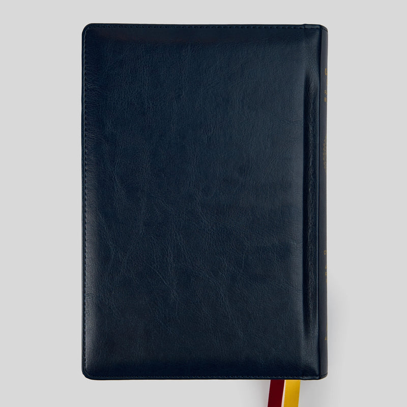 The Great Adventure Catholic Bible for Young Beginners | Ascension