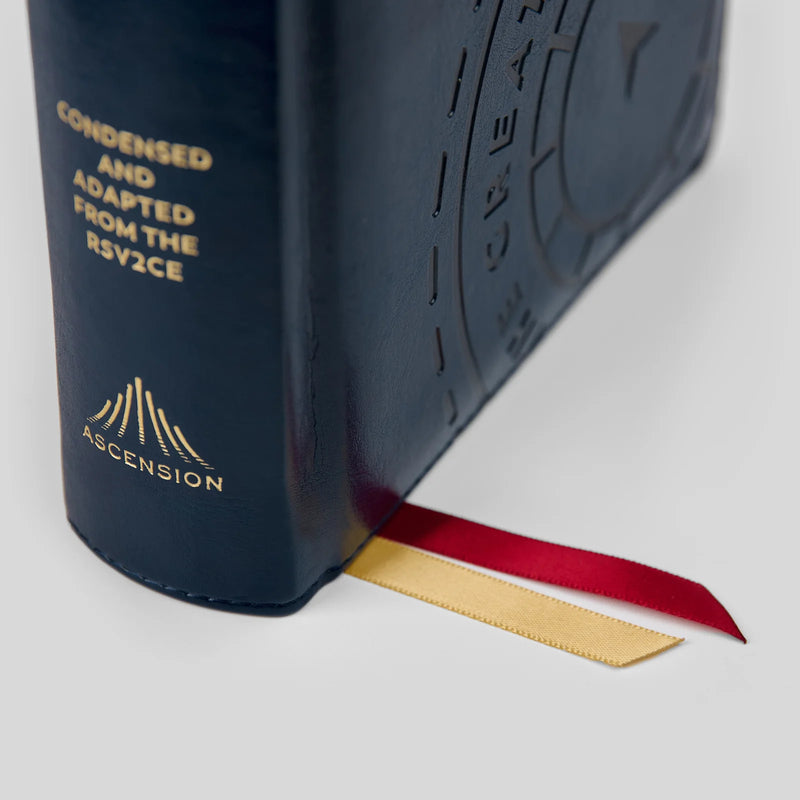 The Great Adventure Catholic Bible for Young Beginners | Ascension