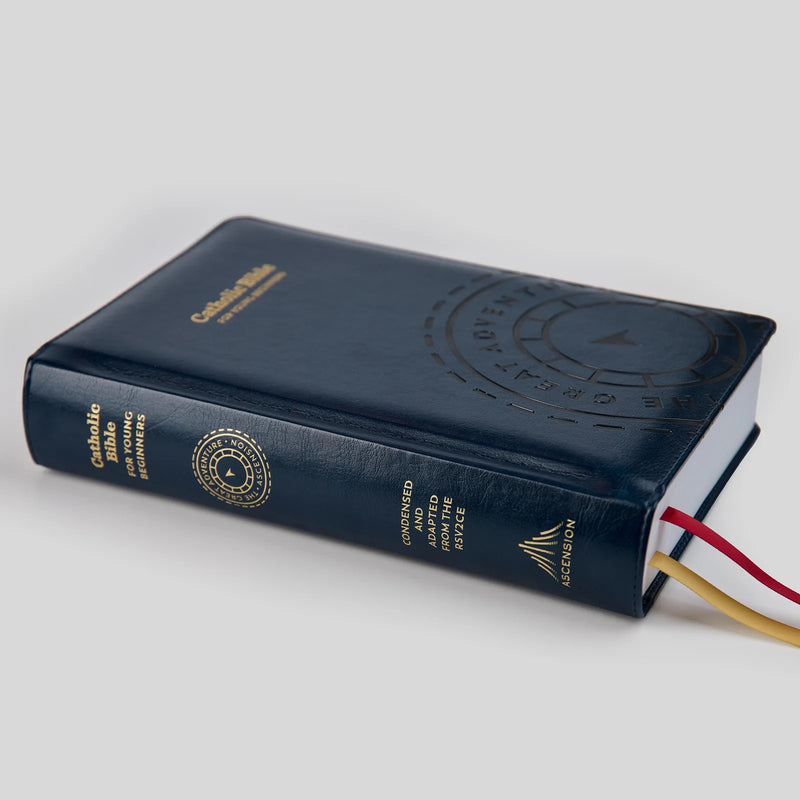 The Great Adventure Catholic Bible for Young Beginners | Ascension