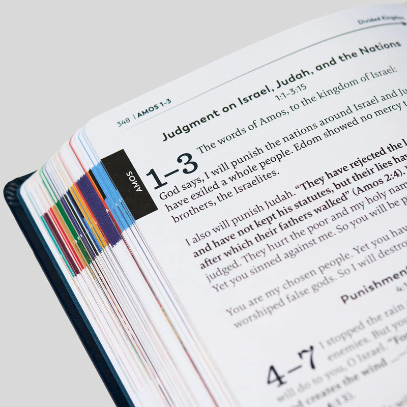 The Great Adventure Catholic Bible for Young Beginners | Ascension