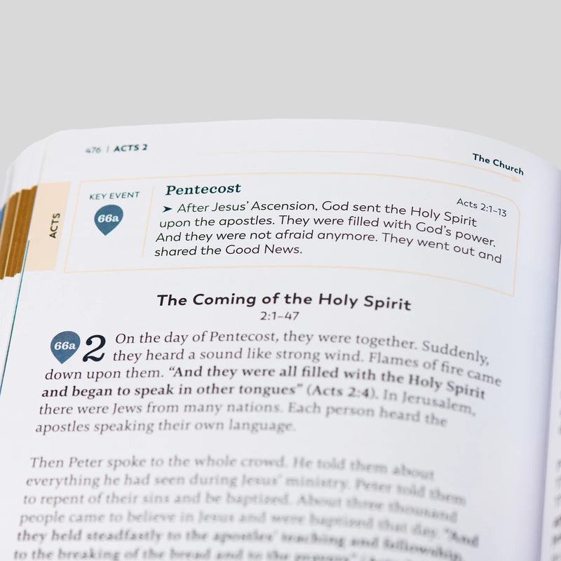 The Great Adventure Catholic Bible for Young Beginners | Ascension