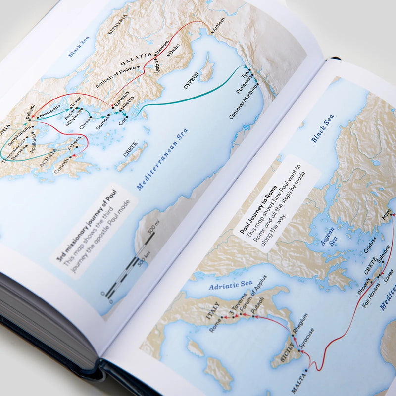 The Great Adventure Catholic Bible for Young Beginners | Ascension