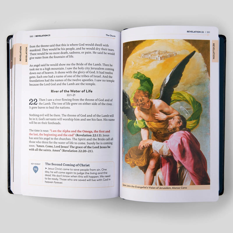 The Great Adventure Catholic Bible for Young Beginners | Ascension