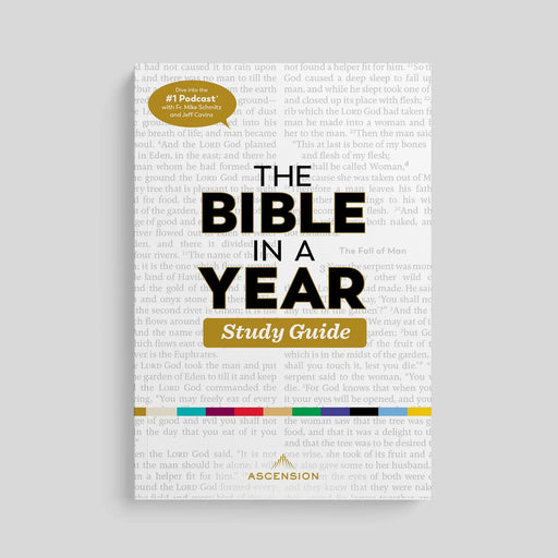 White book with text 'The Bible in a Year Study Guide' on a gray background