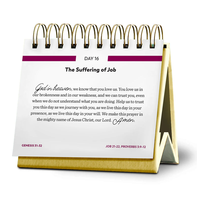 Bible in a Year Perpetual Daily Calendar – Fr. Mike Schmitz