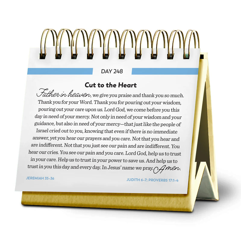 Bible in a Year Perpetual Daily Calendar – Fr. Mike Schmitz