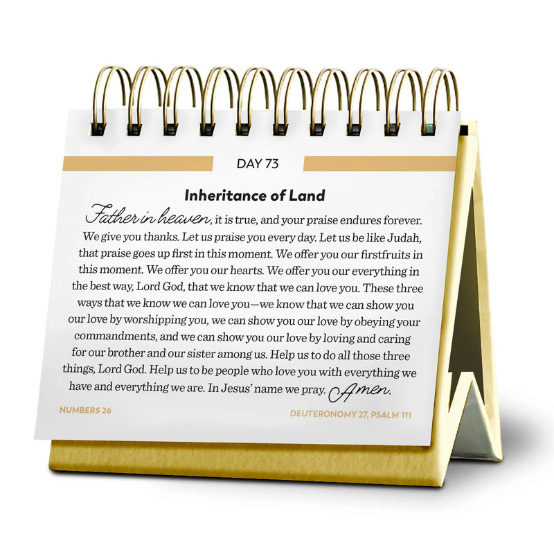 Bible in a Year Perpetual Daily Calendar – Fr. Mike Schmitz