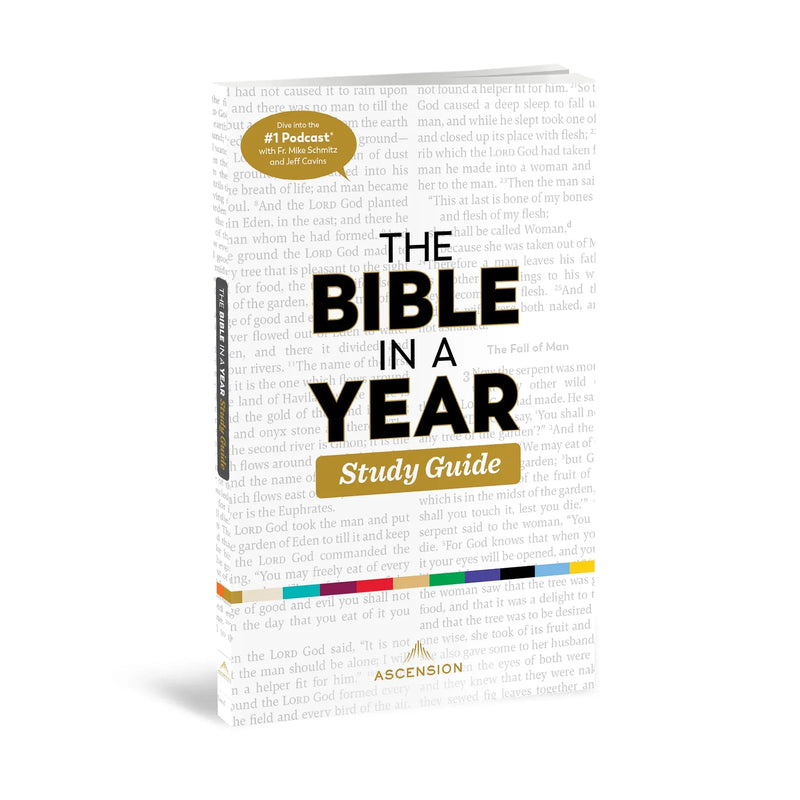 The Bible in a Year Study Guide by Fr. Mike Schmitz | Ascension Press