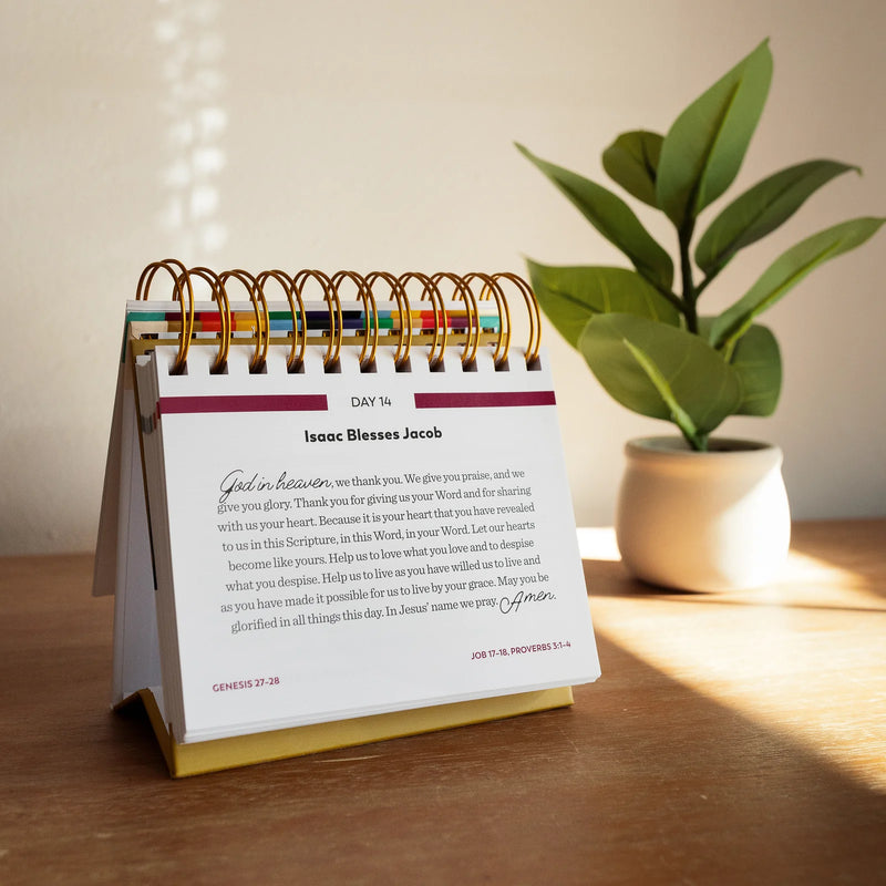 Bible in a Year Perpetual Daily Calendar – Fr. Mike Schmitz
