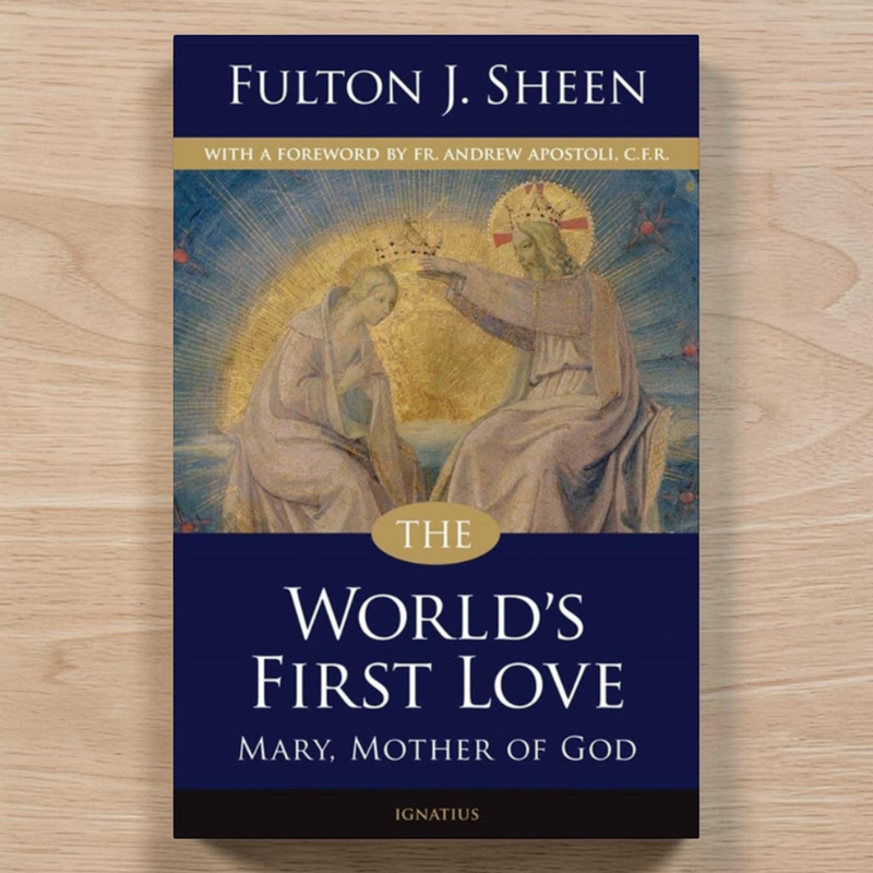 World's First Love: Mary, Mother of God | Catholic Book Publishing