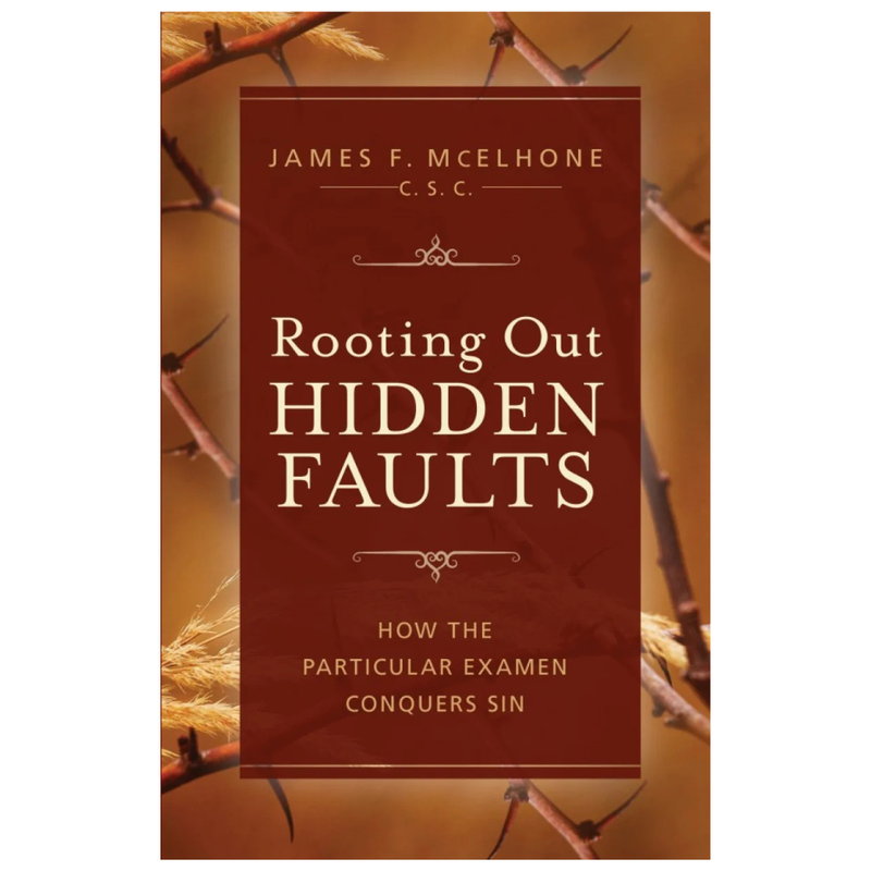 Rooting Out Hidden Faults: Particular Examen Guide | Sophia Press