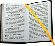Open book with text on a white background