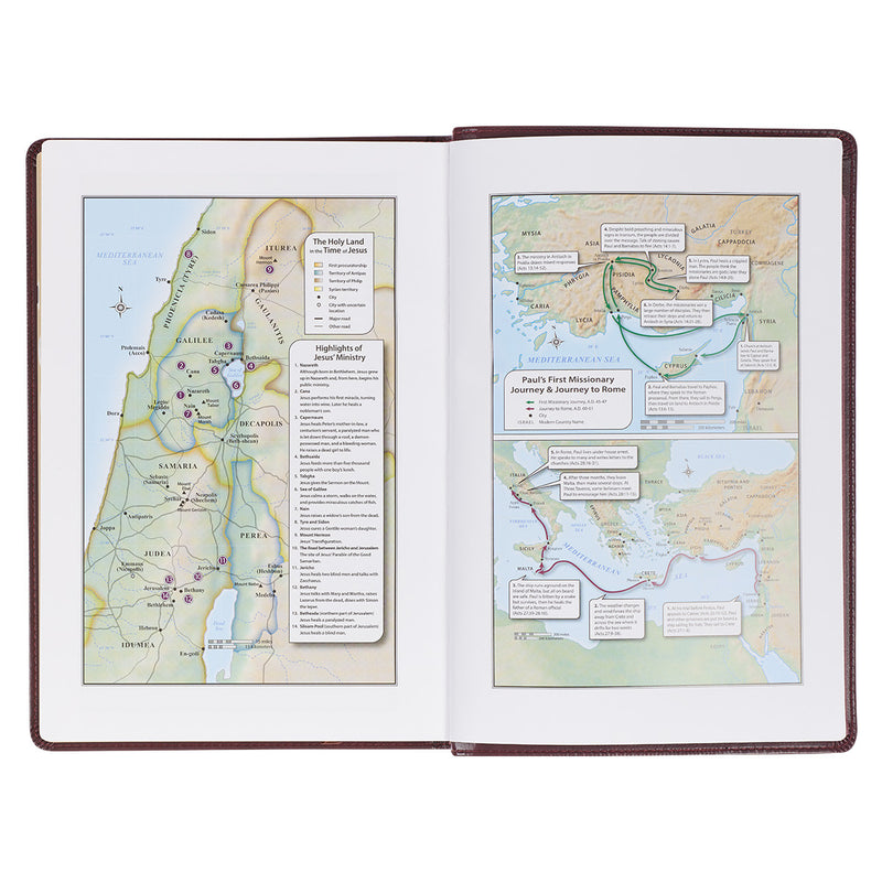 Burgundy Large Print King James Bible (Personalizable!)