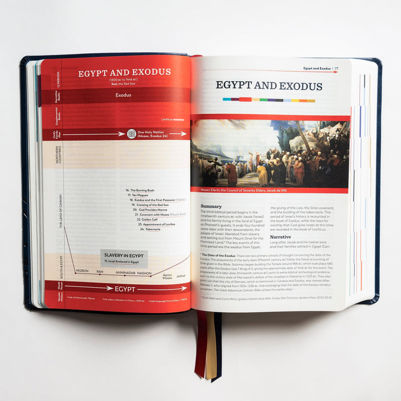 Great Adventure Bible Second Edition by Ascension