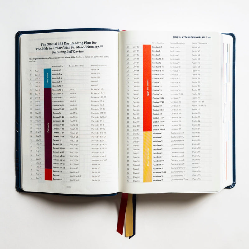 Great Adventure Bible Second Edition by Ascension