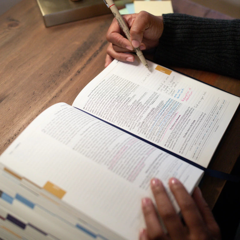 Great Adventure Bible Second Edition by Ascension