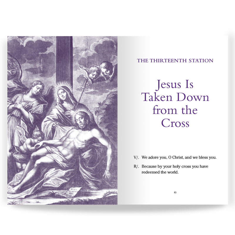 Pocket Guide to the Stations of the Cross by Dr. Edward Sri | Lenten Devotional