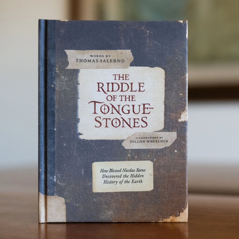Book titled 'The Riddle of the Tongue-Stones' on a wooden surface with a blurred background