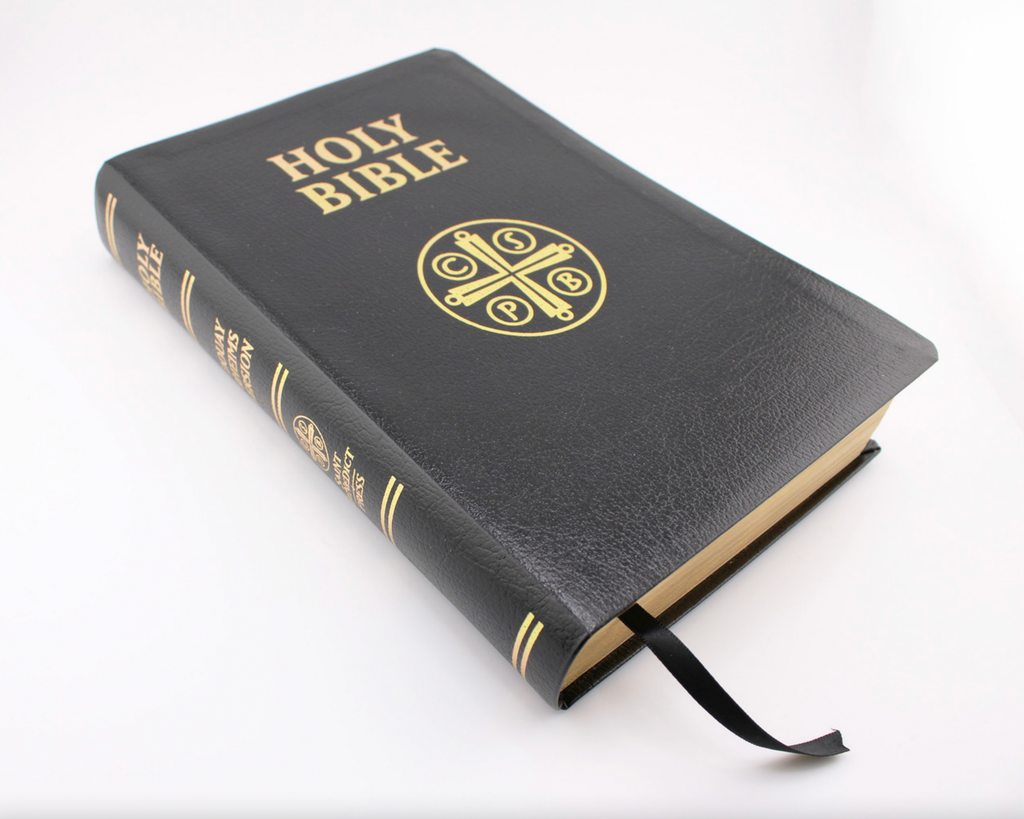 Douay-Rheims Bible (Leather)