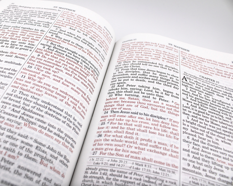 Douay-Rheims Bible in Leather (Personalizable!)