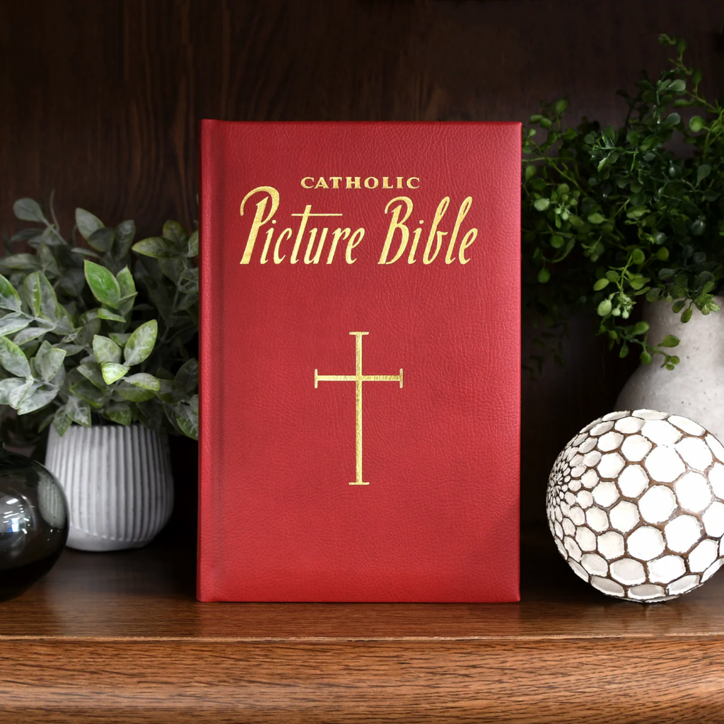 New Catholic Picture Bible (Burgundy)