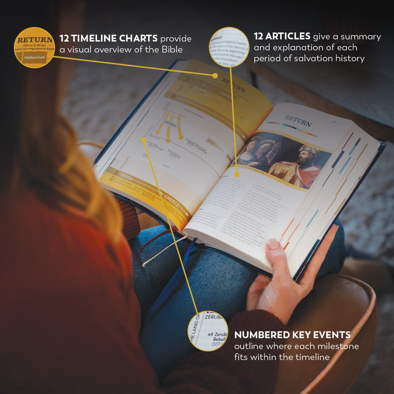 Great Adventure Bible Second Edition by Ascension