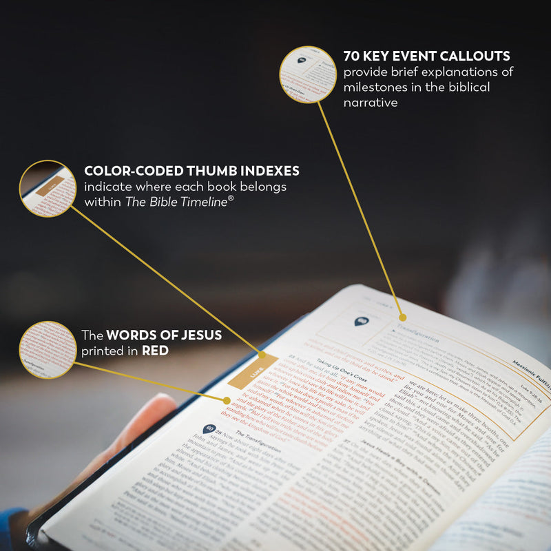 Great Adventure Bible Second Edition by Ascension