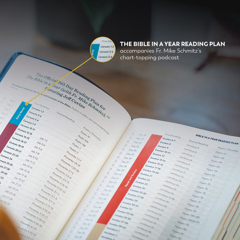 Great Adventure Bible Second Edition by Ascension