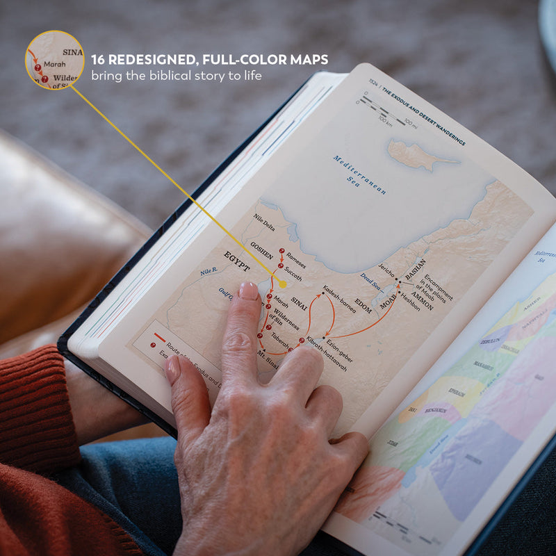 Great Adventure Bible Second Edition by Ascension